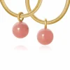 DULONG ANHENG GLOBE GUAVAKVARTS