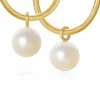 DULONG ANHENG GLOBE STORE FERSKVANNSPERLER