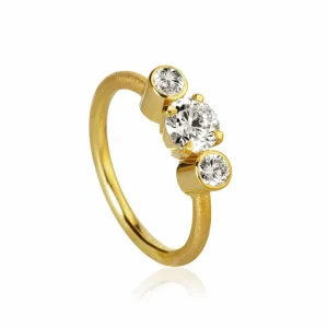 DULONG RING TRINITY