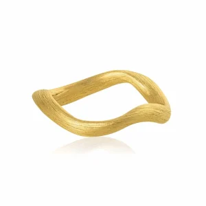 DULONG RING VEGA