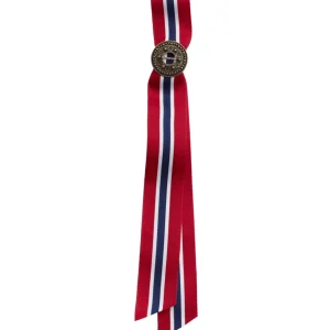 17. MAI SLØYFEPIN GAMMELFORGYLT