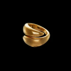 MARIA NILSDOTTER RING IRON CLAW